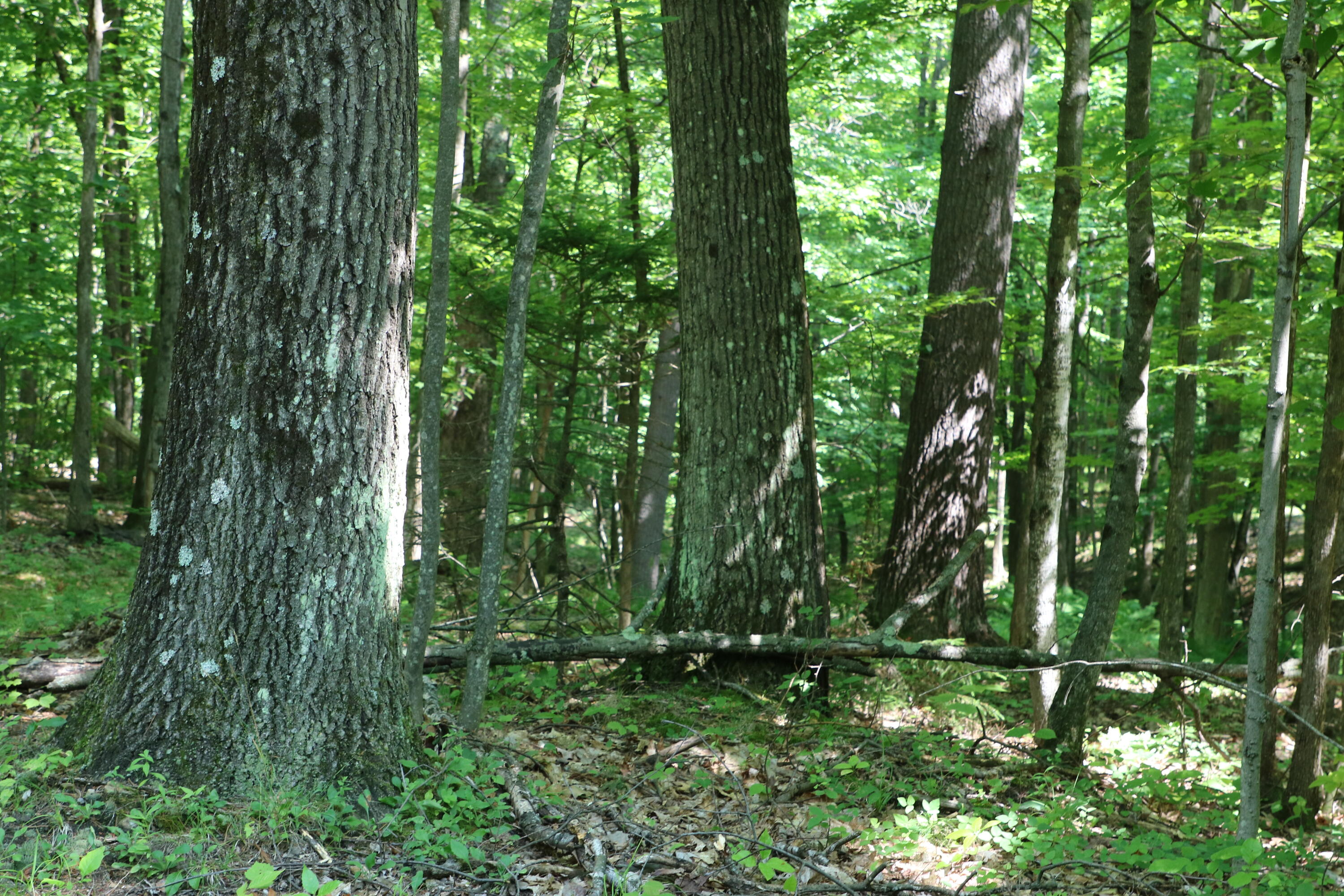Tbd Highland Road Keeseville NY 12944
