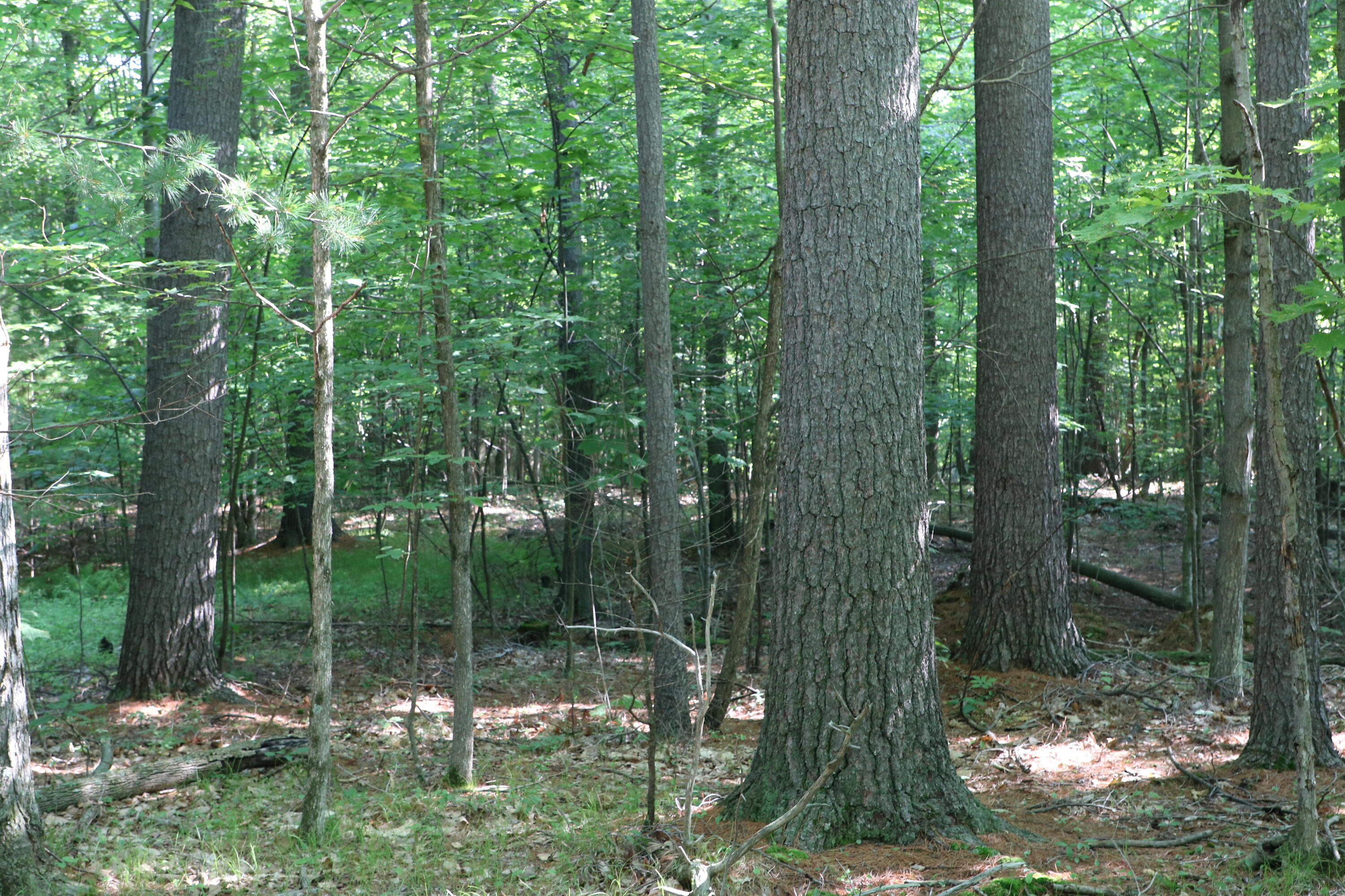 Tbd Highland Road Keeseville NY 12944