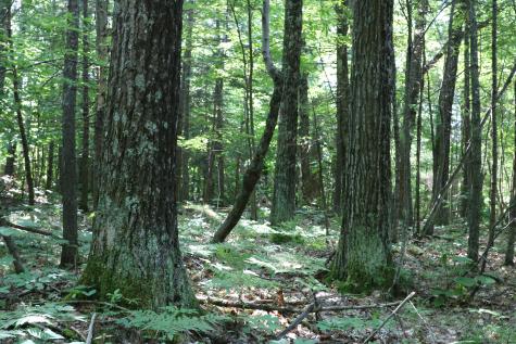 Tbd Highland Road Keeseville NY 12944