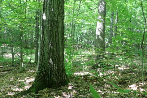 Tbd Highland Road Keeseville NY 12944