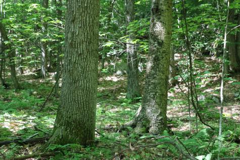 Tbd Highland Road Keeseville NY 12944