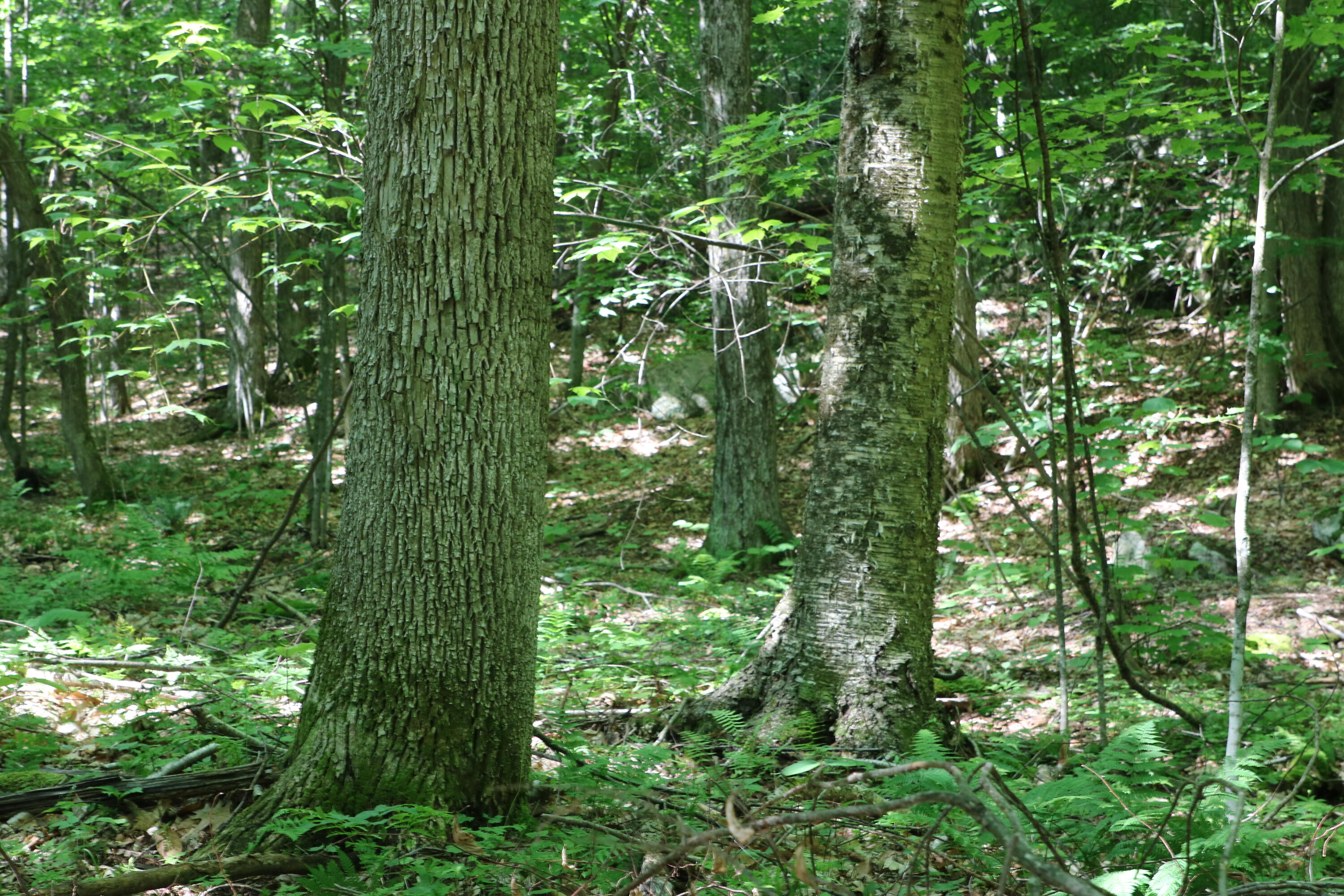 Tbd Highland Road Keeseville NY 12944