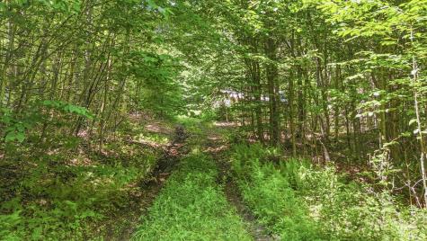 359 Bear Cub Lane #6 Lake Placid NY 12946