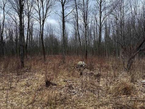 6005 Military Turnpike Ellenburg Depot NY 12935