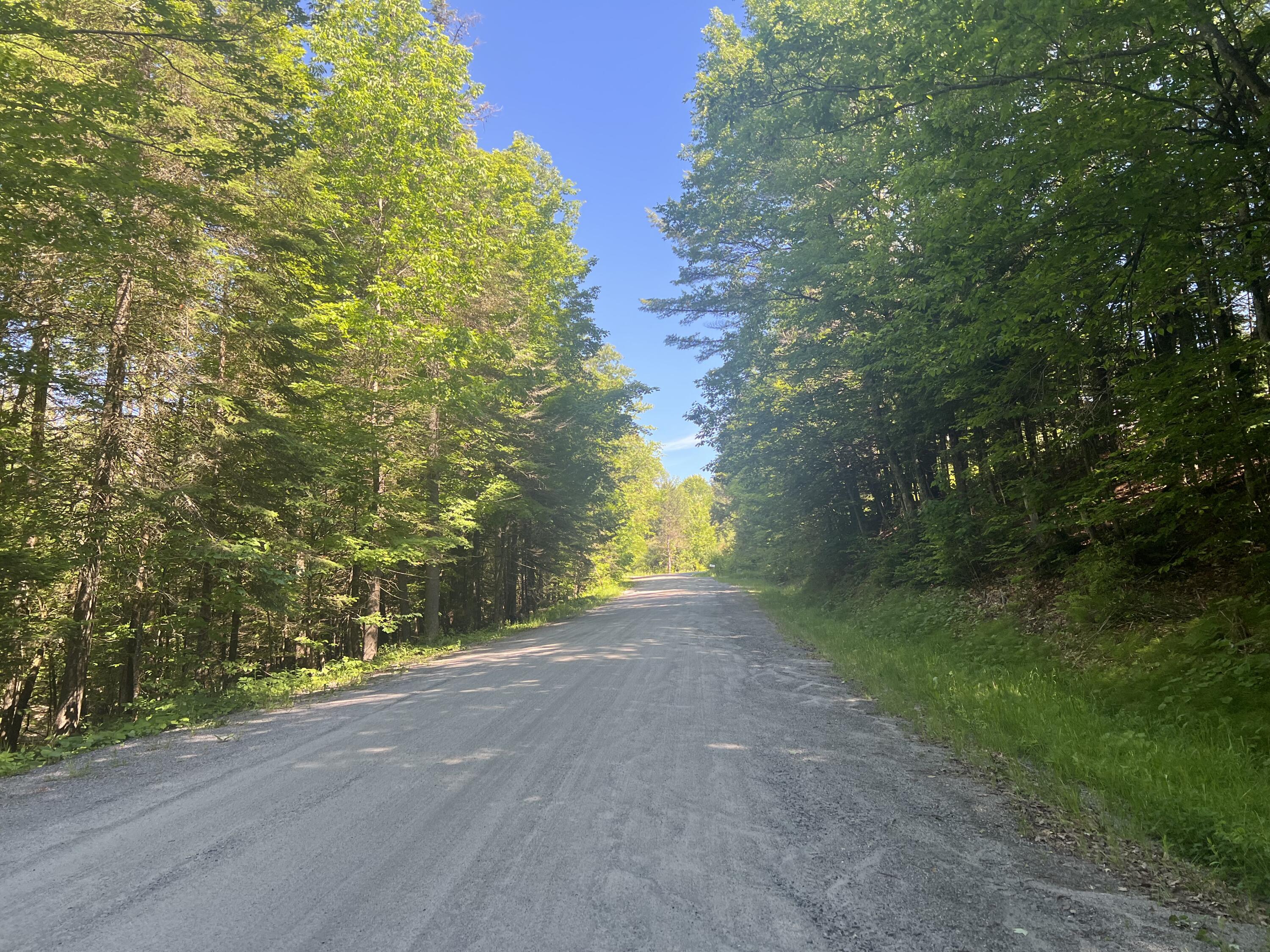 161 Riddle Road Mineville NY 12956
