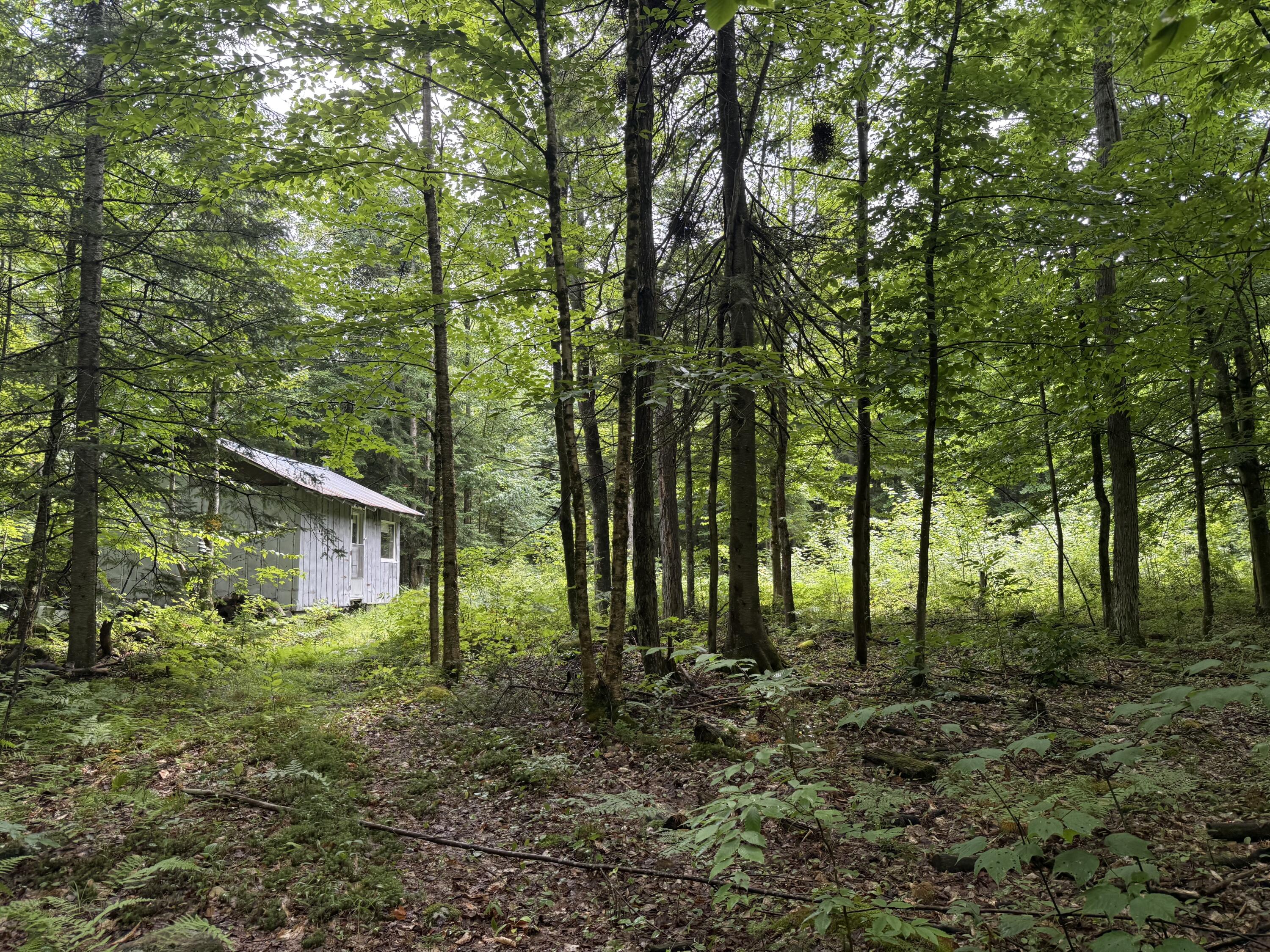 0 Cox Road Brandon NY 12966