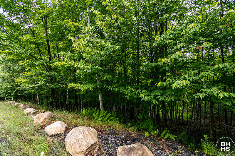 14 Mt Pisgah Park Saranac Lake NY 12983