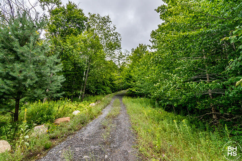14 Mt Pisgah Park Saranac Lake NY 12983