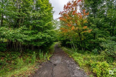 14 Mt Pisgah Park Saranac Lake NY 12983