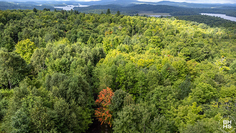 14 Mt Pisgah Park Saranac Lake NY 12983