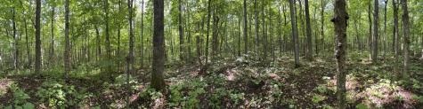00 Wilfred King Road Dannemora NY 12918
