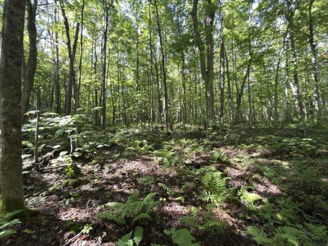 00 Wilfred King Road Dannemora NY 12918