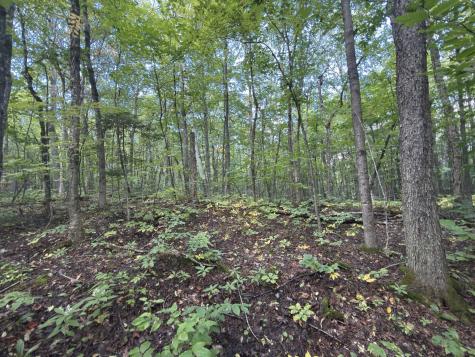 00 Wilfred King Road Dannemora NY 12918