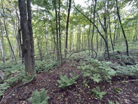 00 Wilfred King Road Dannemora NY 12918