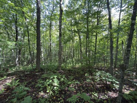 00 Wilfred King Road Dannemora NY 12918