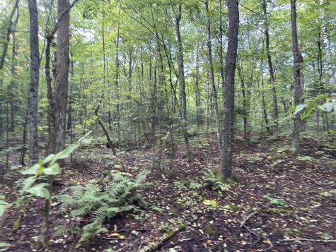 00 Wilfred King Road Dannemora NY 12918