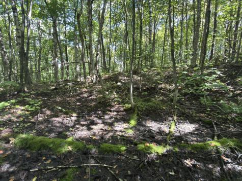 00 Wilfred King Road Dannemora NY 12918