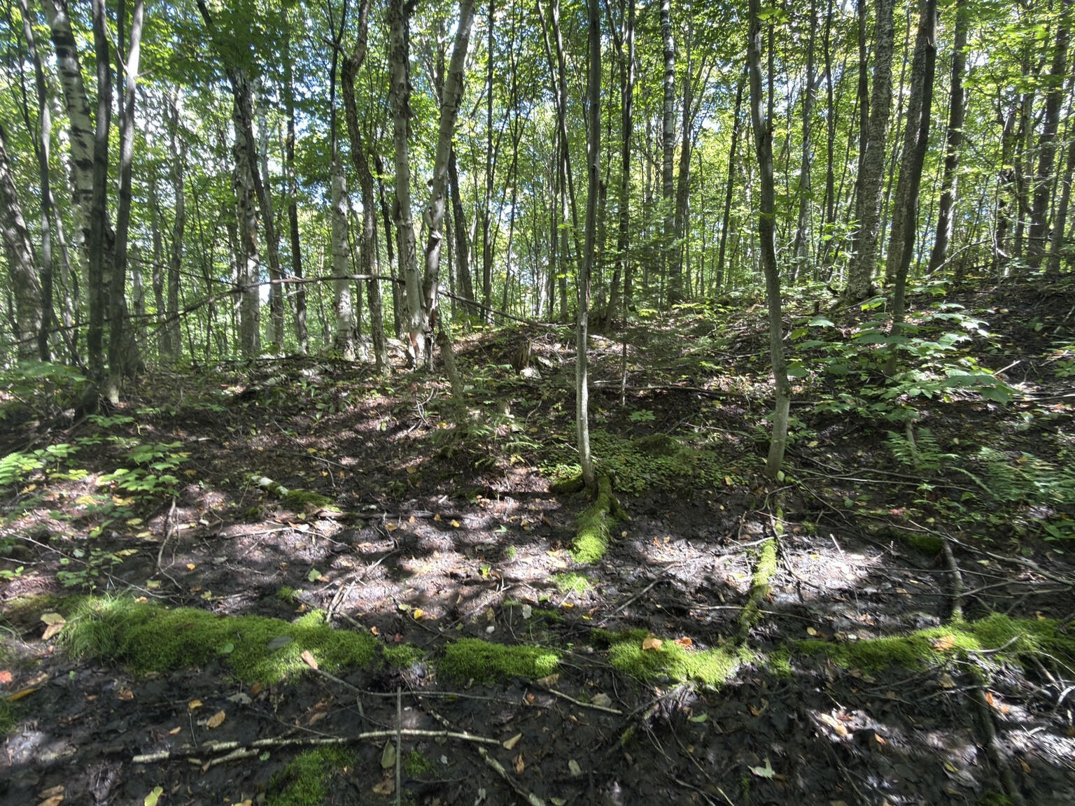 00 Wilfred King Road Dannemora NY 12918