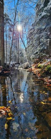00 Wilfred King Road Dannemora NY 12918