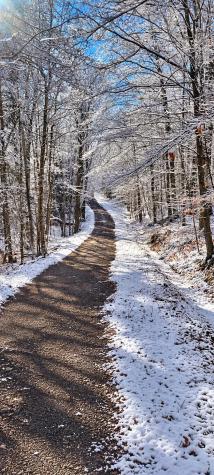 00 Wilfred King Road Dannemora NY 12918