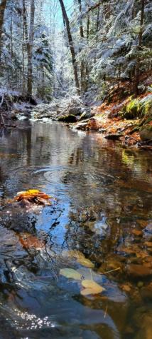 00 Wilfred King Road Dannemora NY 12918