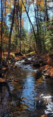 00 Wilfred King Road Dannemora NY 12918