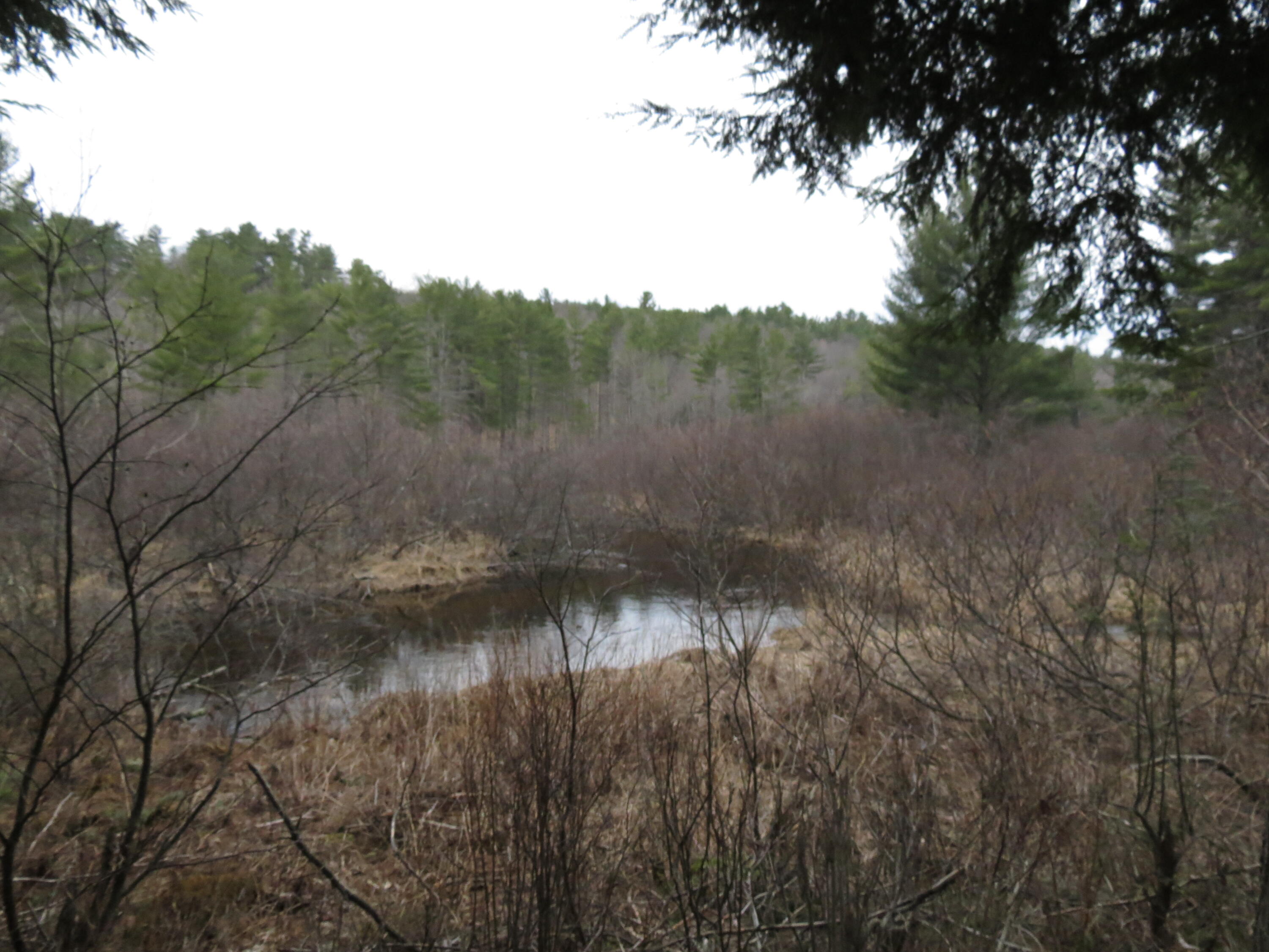384 Guide Board Road Black Brook NY 12912