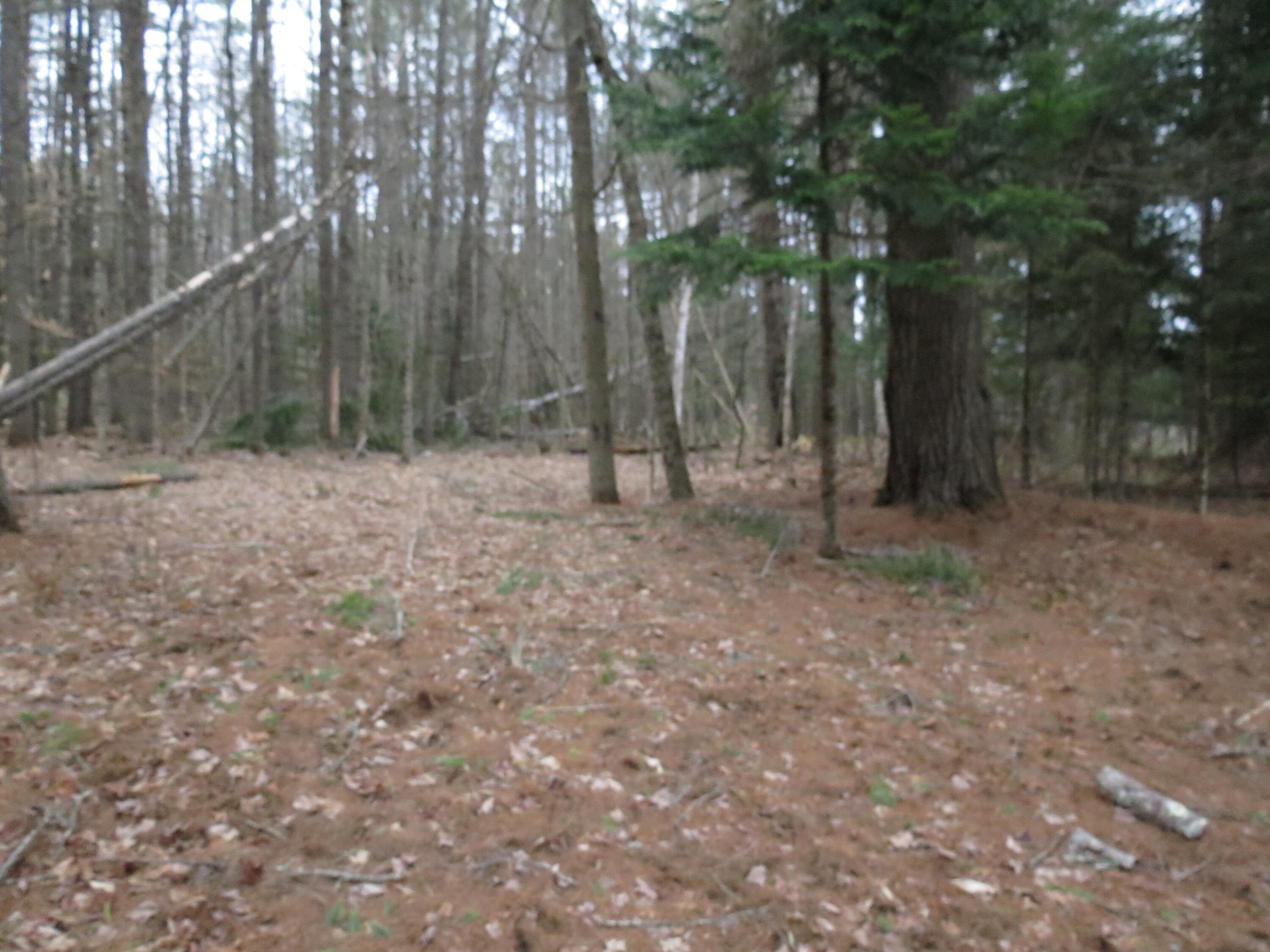 384 Guide Board Road Black Brook NY 12912