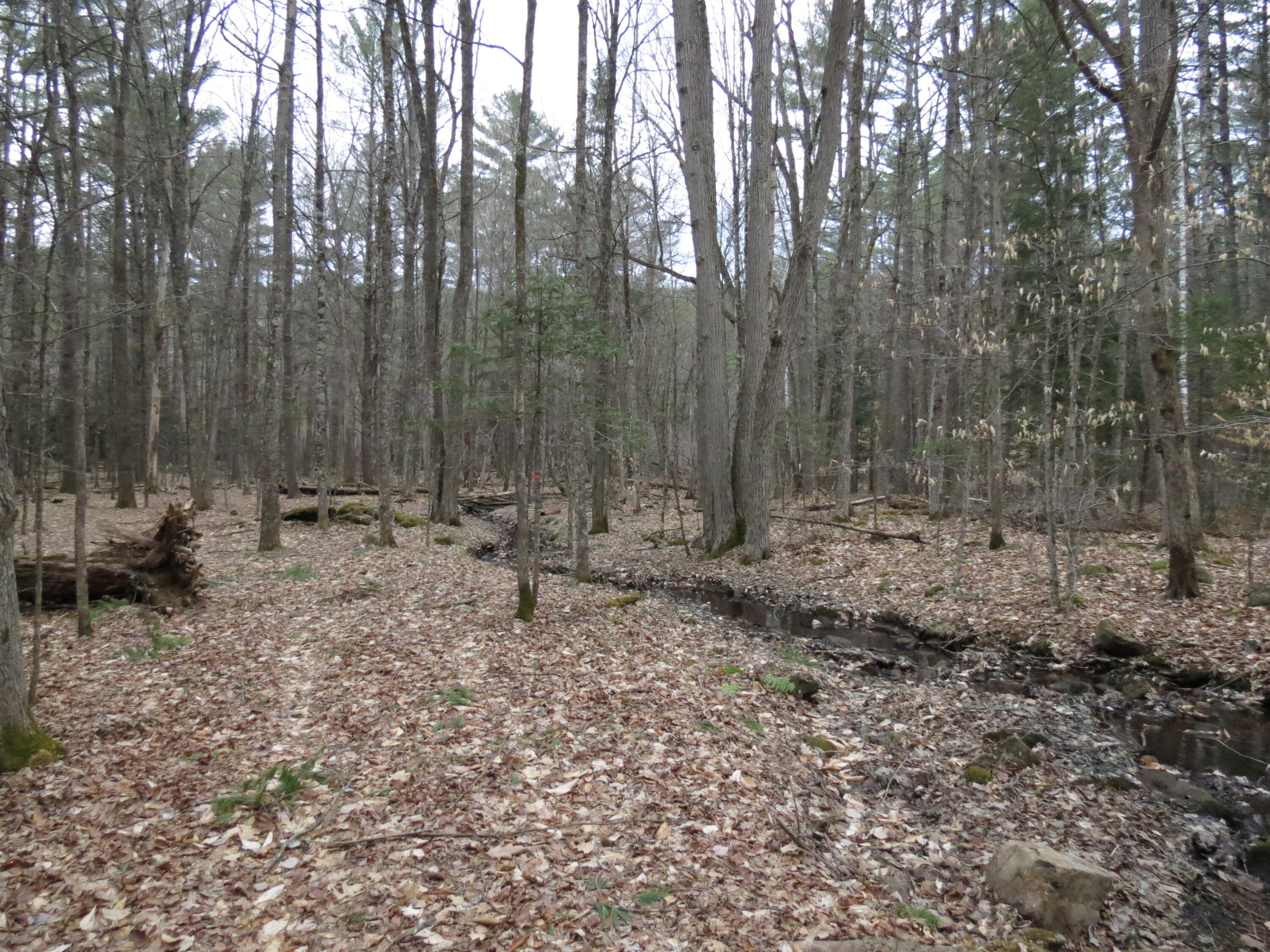 384 Guide Board Road Black Brook NY 12912