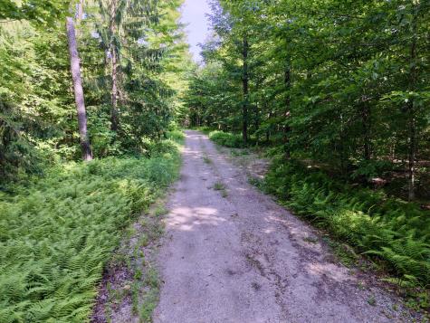 Lot 19, 20, 21, 22 Grand View Malone NY 12953