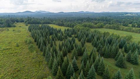 412 Route 86 Harrietstown Road Saranac Lake NY 12983