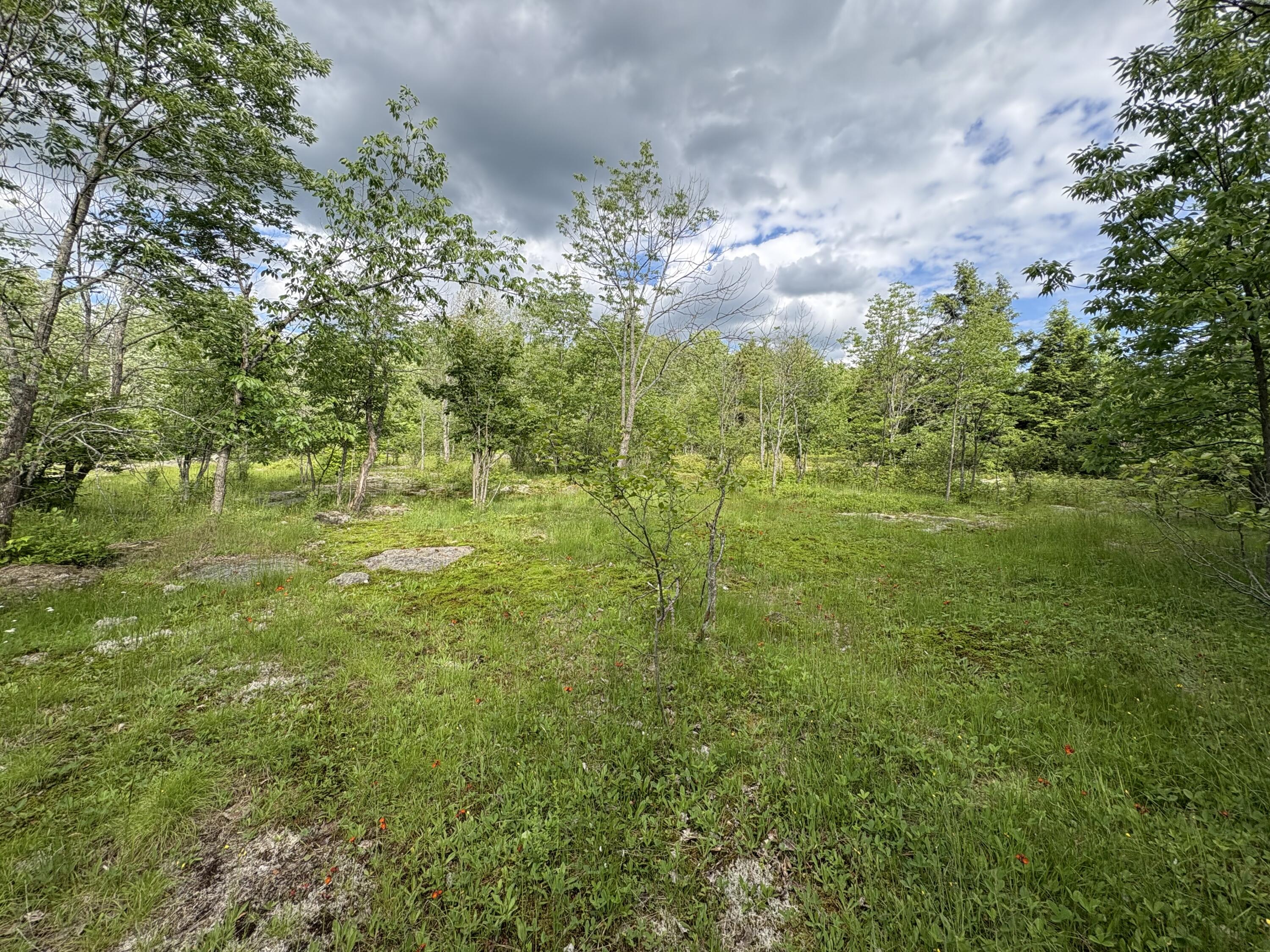 0 Military Turnpike Ellenburg NY 12933