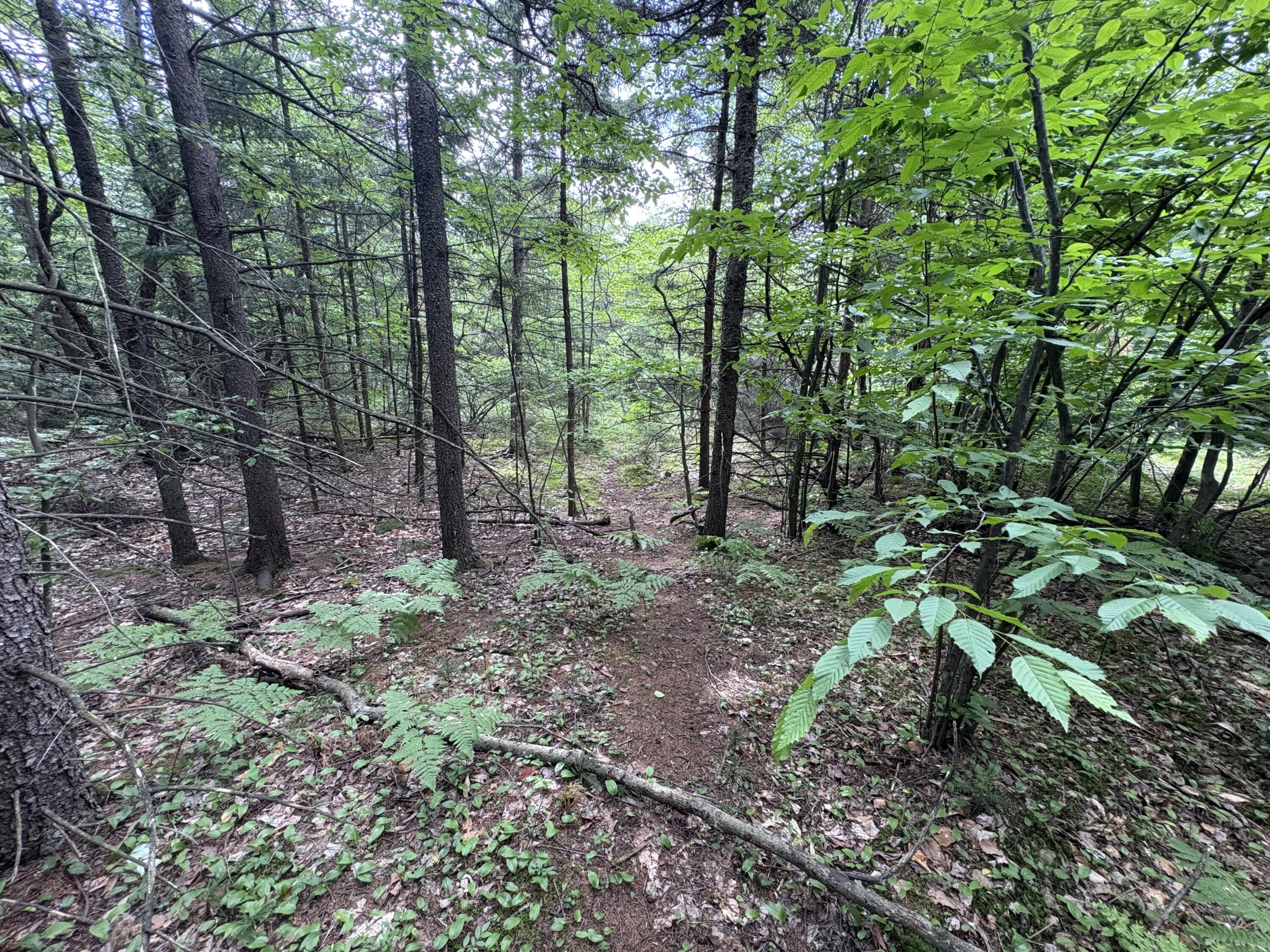 0 Military Turnpike Ellenburg NY 12933