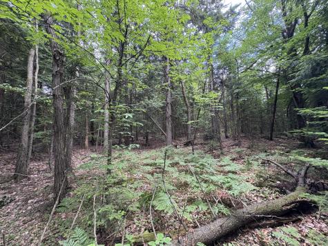 0 Military Turnpike Ellenburg NY 12933