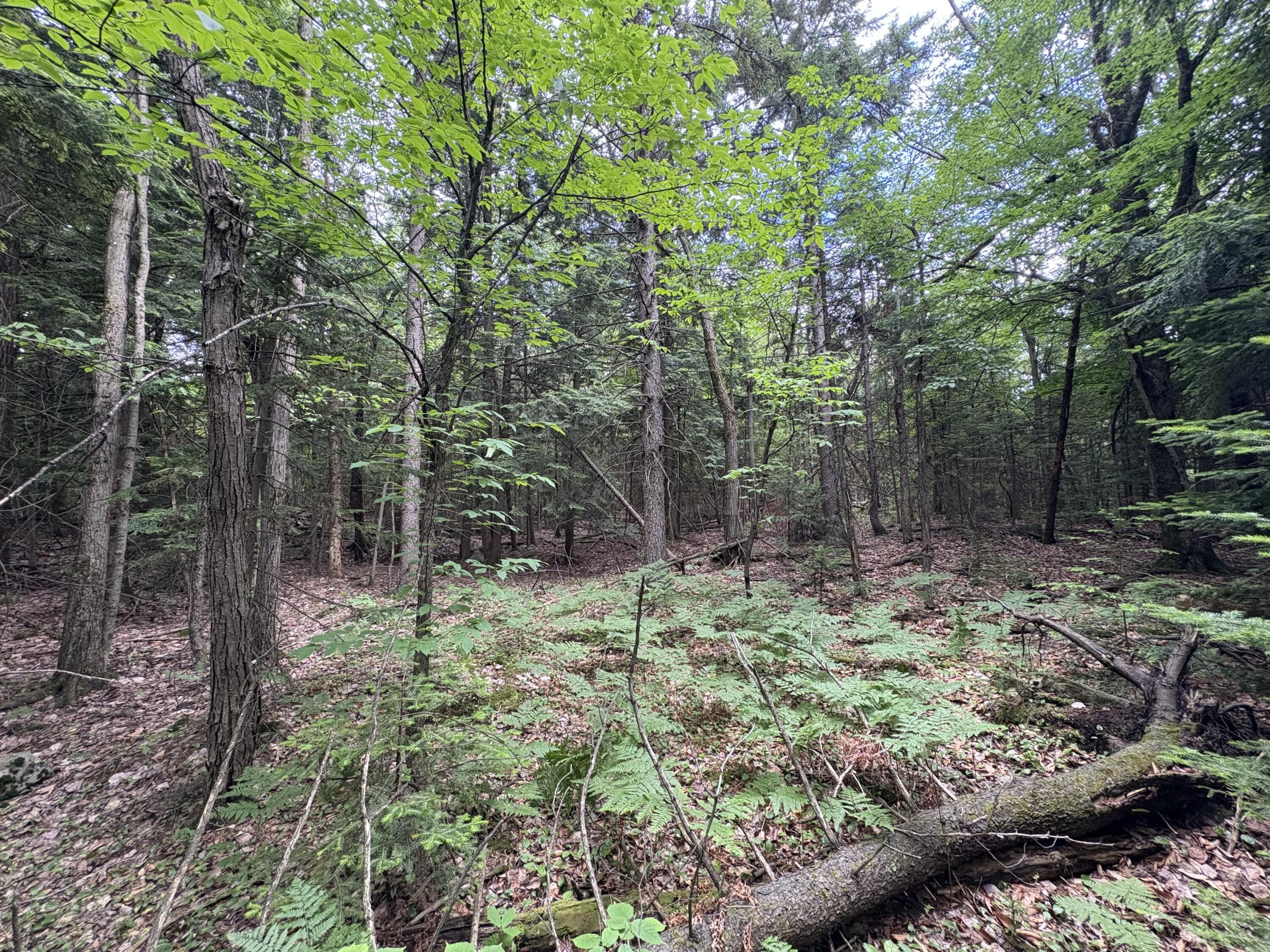 0 Military Turnpike Ellenburg NY 12933