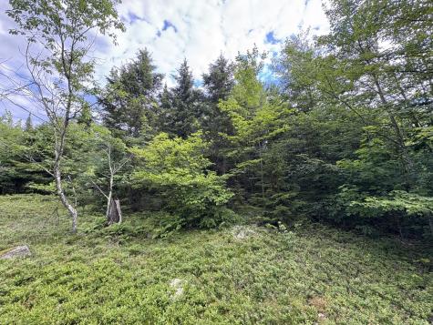 0 Military Turnpike Ellenburg NY 12933