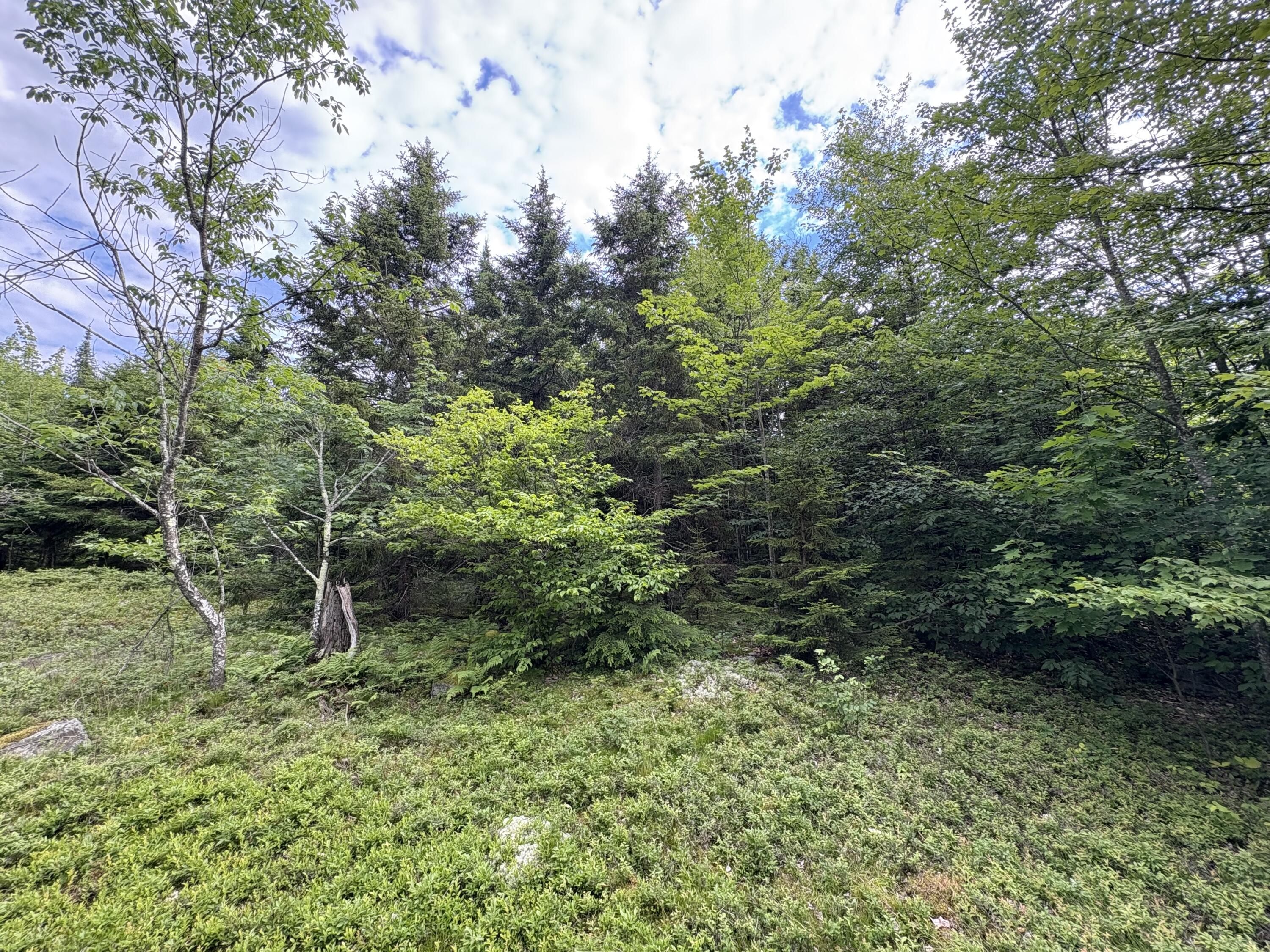 0 Military Turnpike Ellenburg NY 12933
