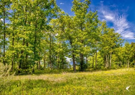 0 Acadian Heights Drive Port Kent NY 12975