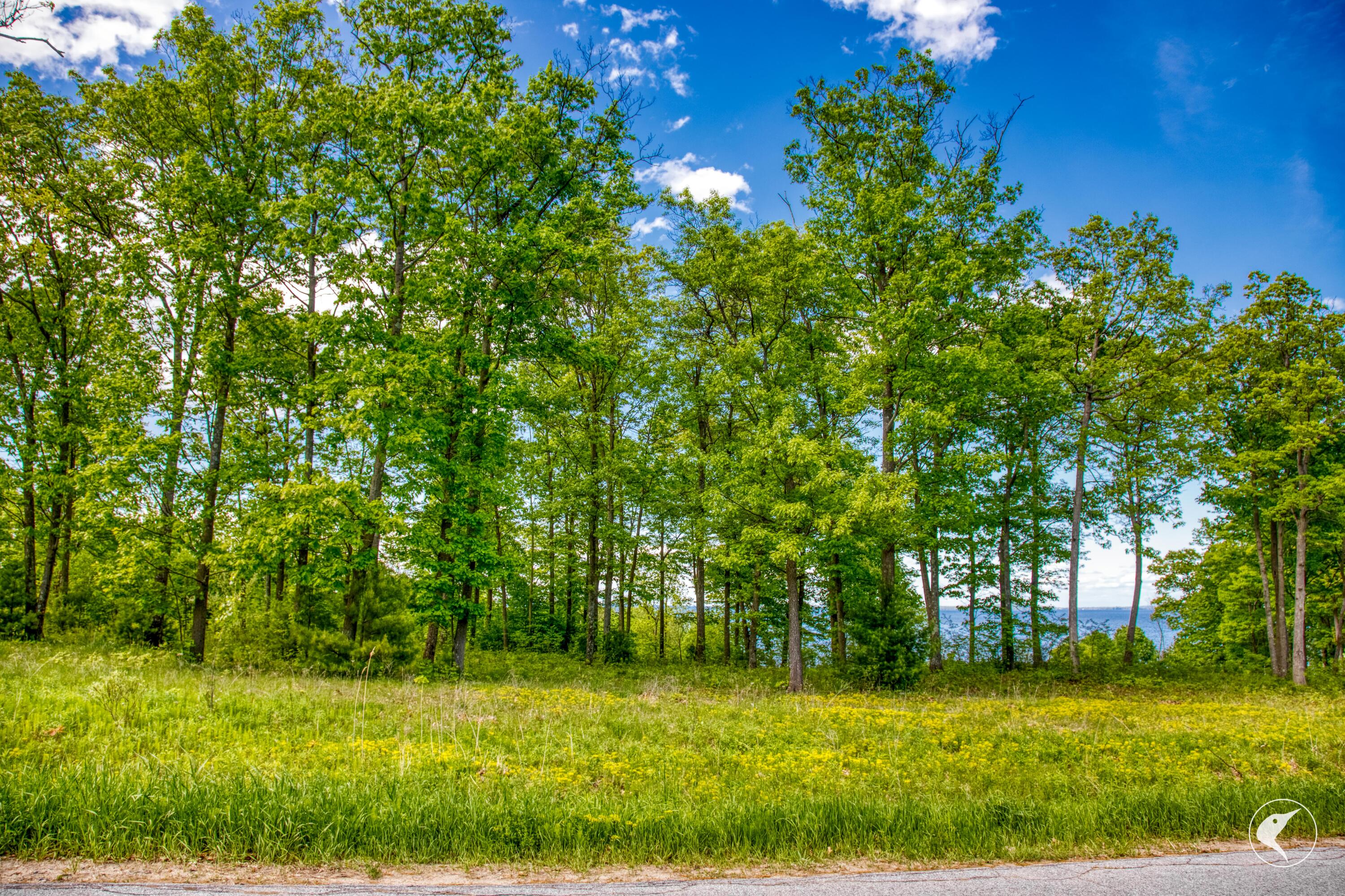 0 Acadian Heights Drive Port Kent NY 12975