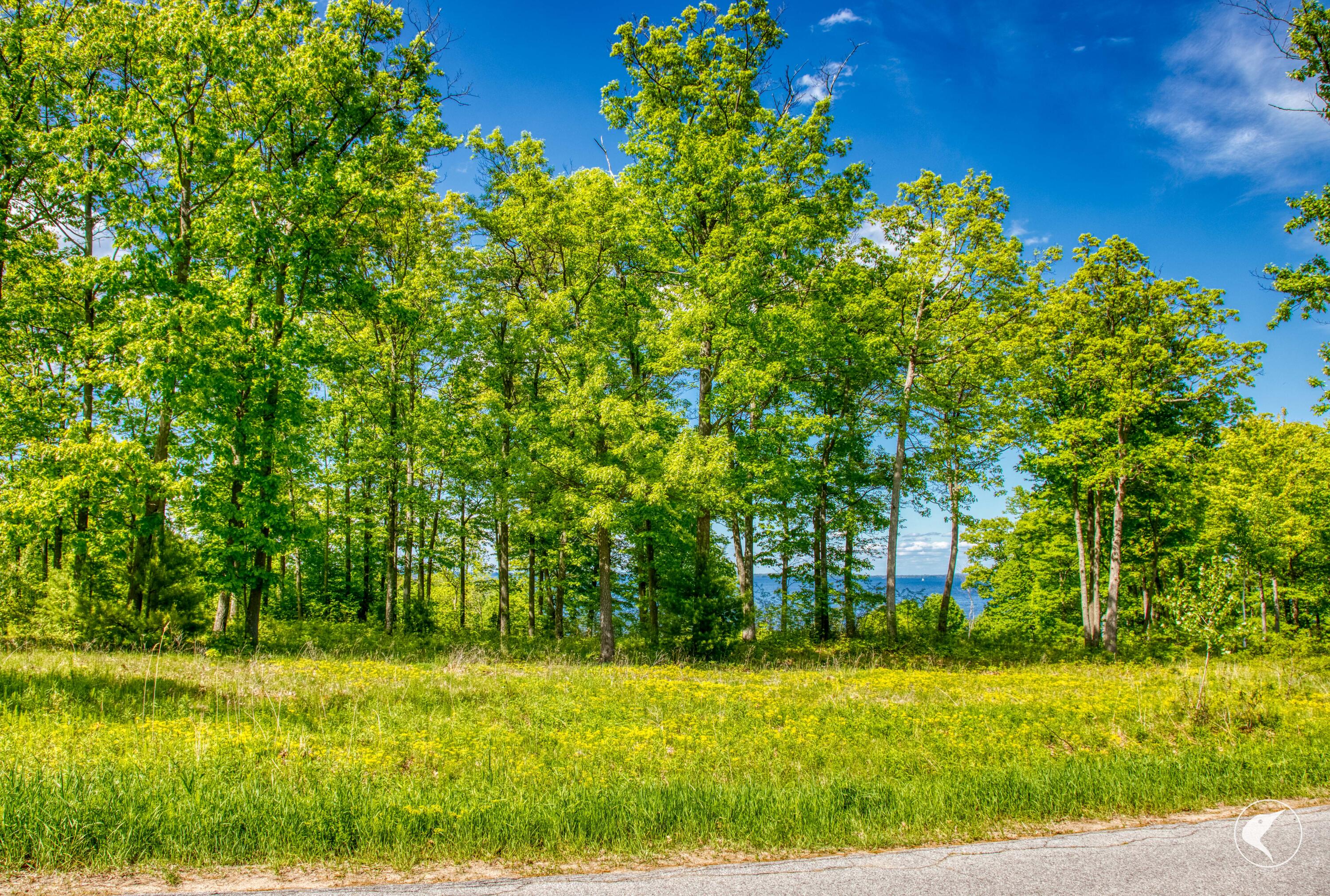 0 Acadian Heights Drive Port Kent NY 12975