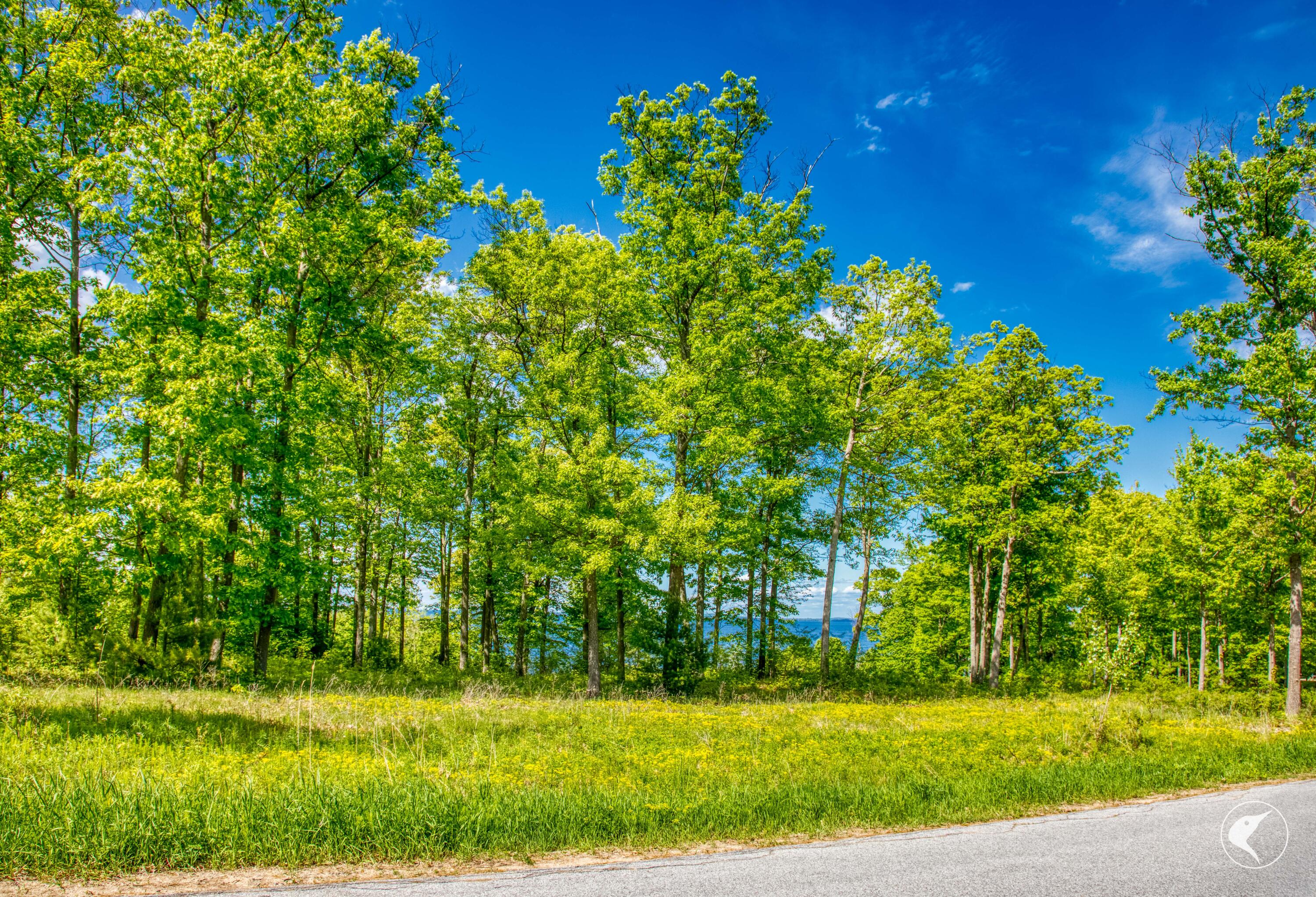 0 Acadian Heights Drive Port Kent NY 12975