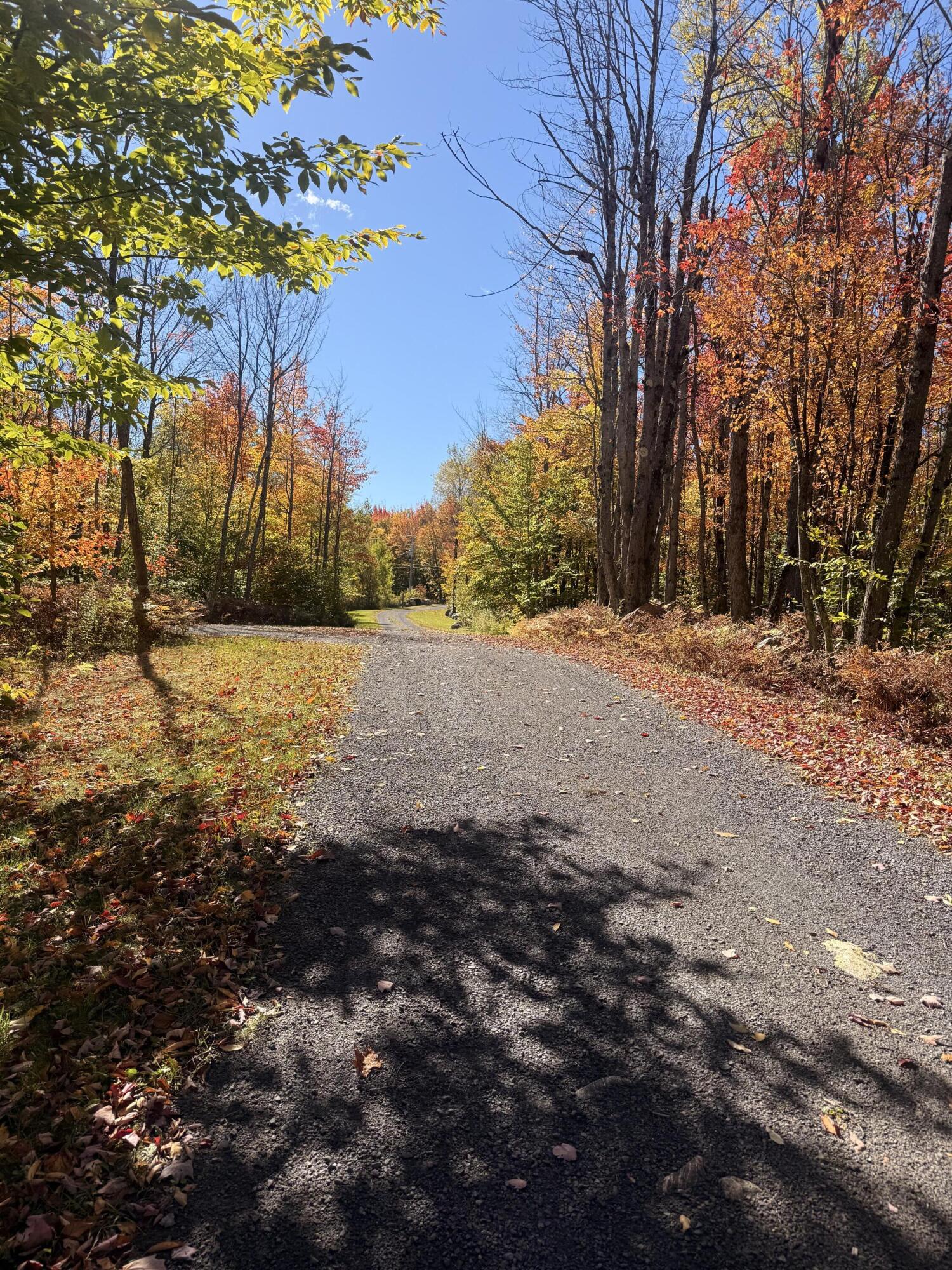 58 Hewitt Road St. Regis Falls NY 12980