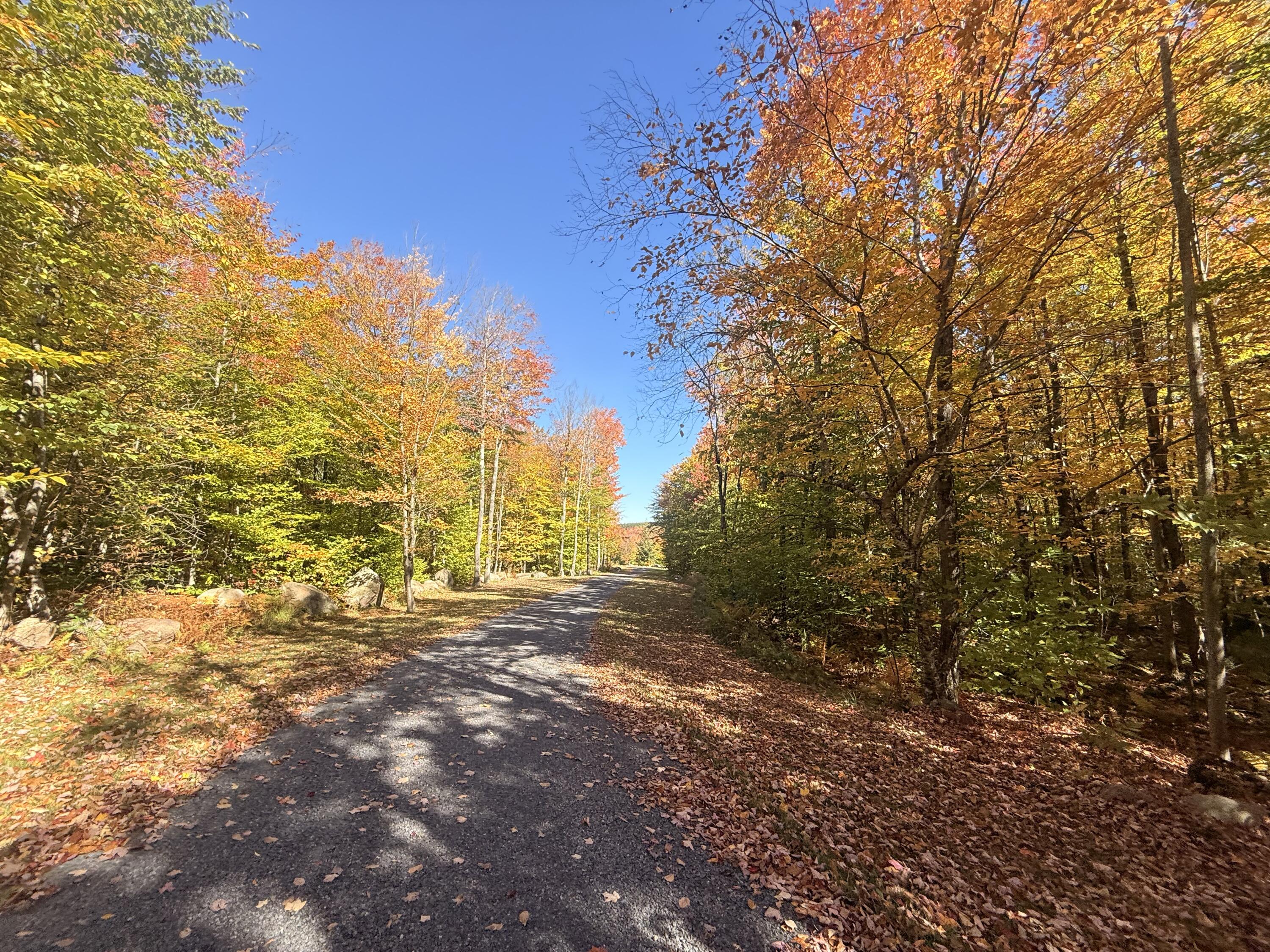 58 Hewitt Road St. Regis Falls NY 12980