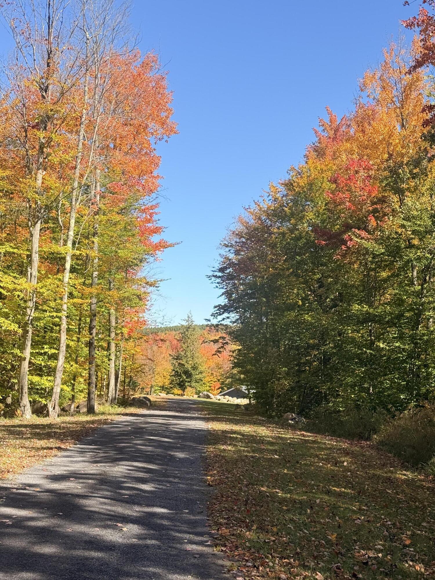58 Hewitt Road St. Regis Falls NY 12980