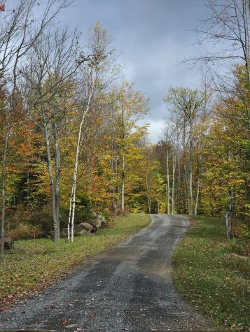 58 Hewitt Road St. Regis Falls NY 12980