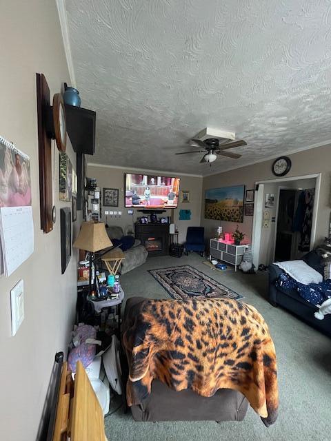 20 Franklin Street Malone NY 12953