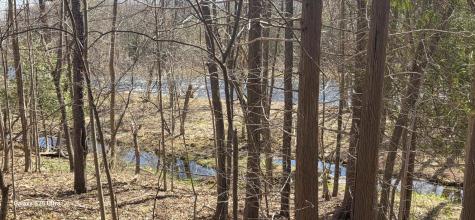 2973 State Route 11 Mooers Forks NY 12959