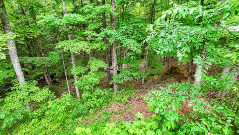 1616 Ny-30 Tupper Lake NY 12986