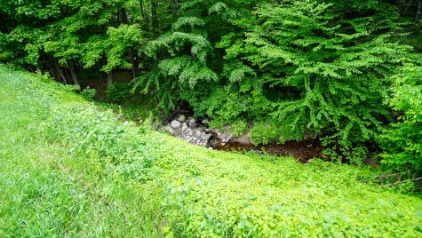 1616 Ny-30 Tupper Lake NY 12986