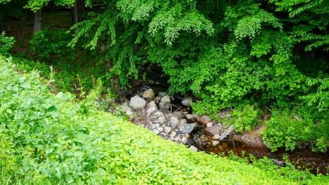 1616 Ny-30 Tupper Lake NY 12986